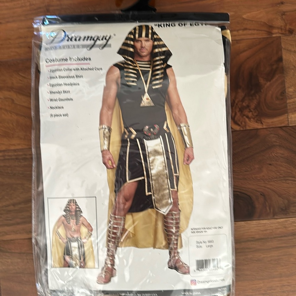 “King of the Egypt “ costume.  Size large from dream girl costumes brand new